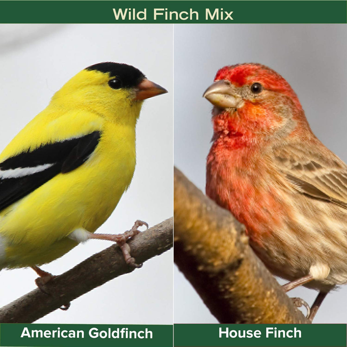 Finch Wild Bird Seed 20lb Bag B657781