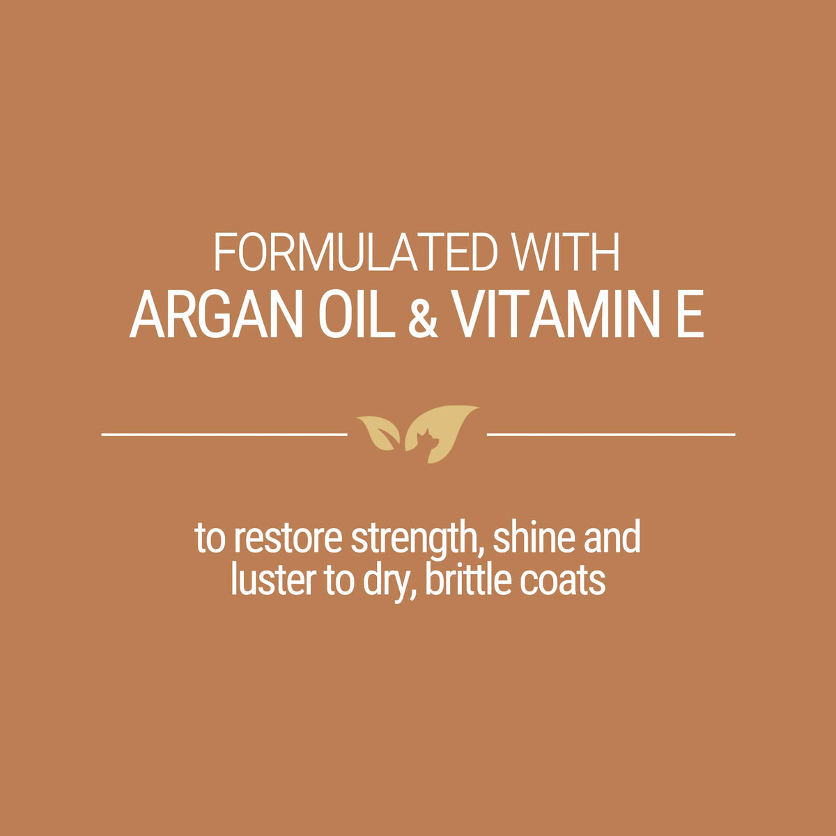 Argan Oil Dog Shampoo 1 Gallon P933
