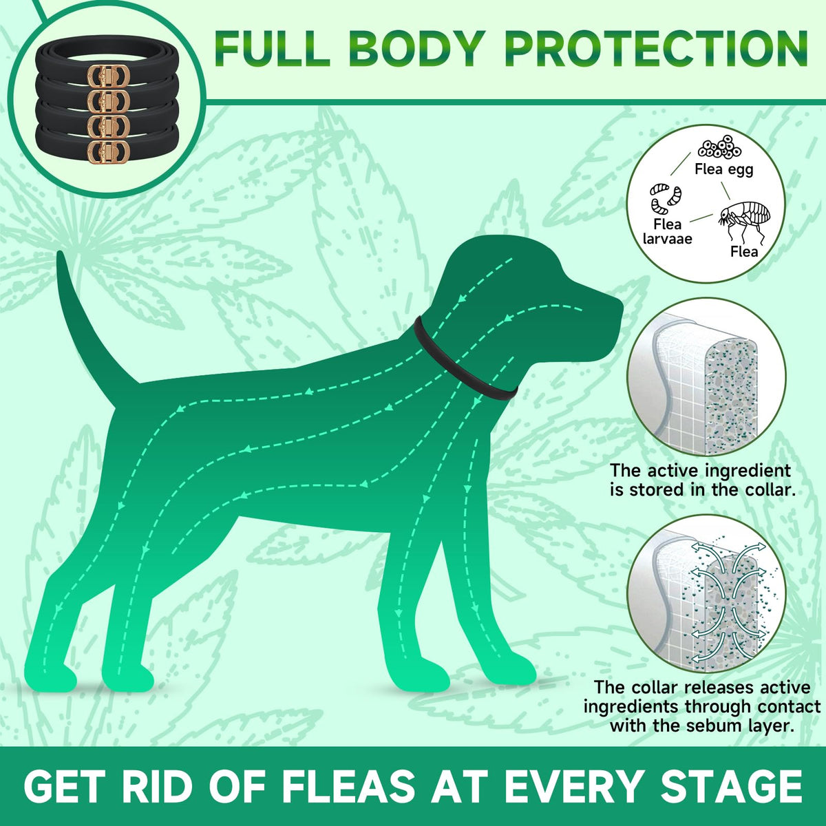 4 Pack Flea Collar for Dogs C828943