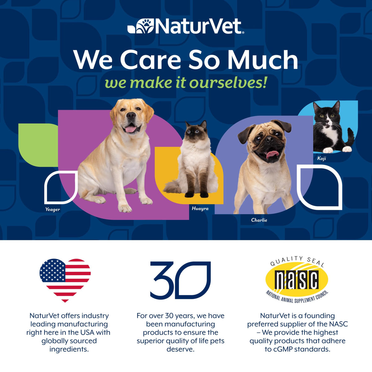 40 Soft Chews Dog Supplement J834281