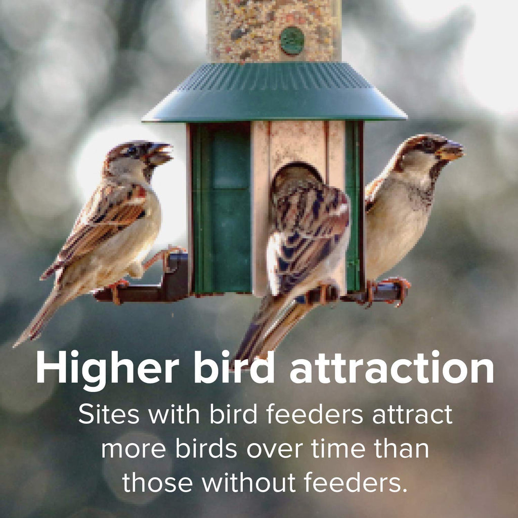 Finch Wild Bird Seed 20lb Bag B657781