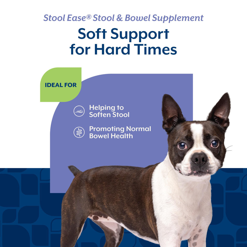 40 Soft Chews Dog Supplement J834281