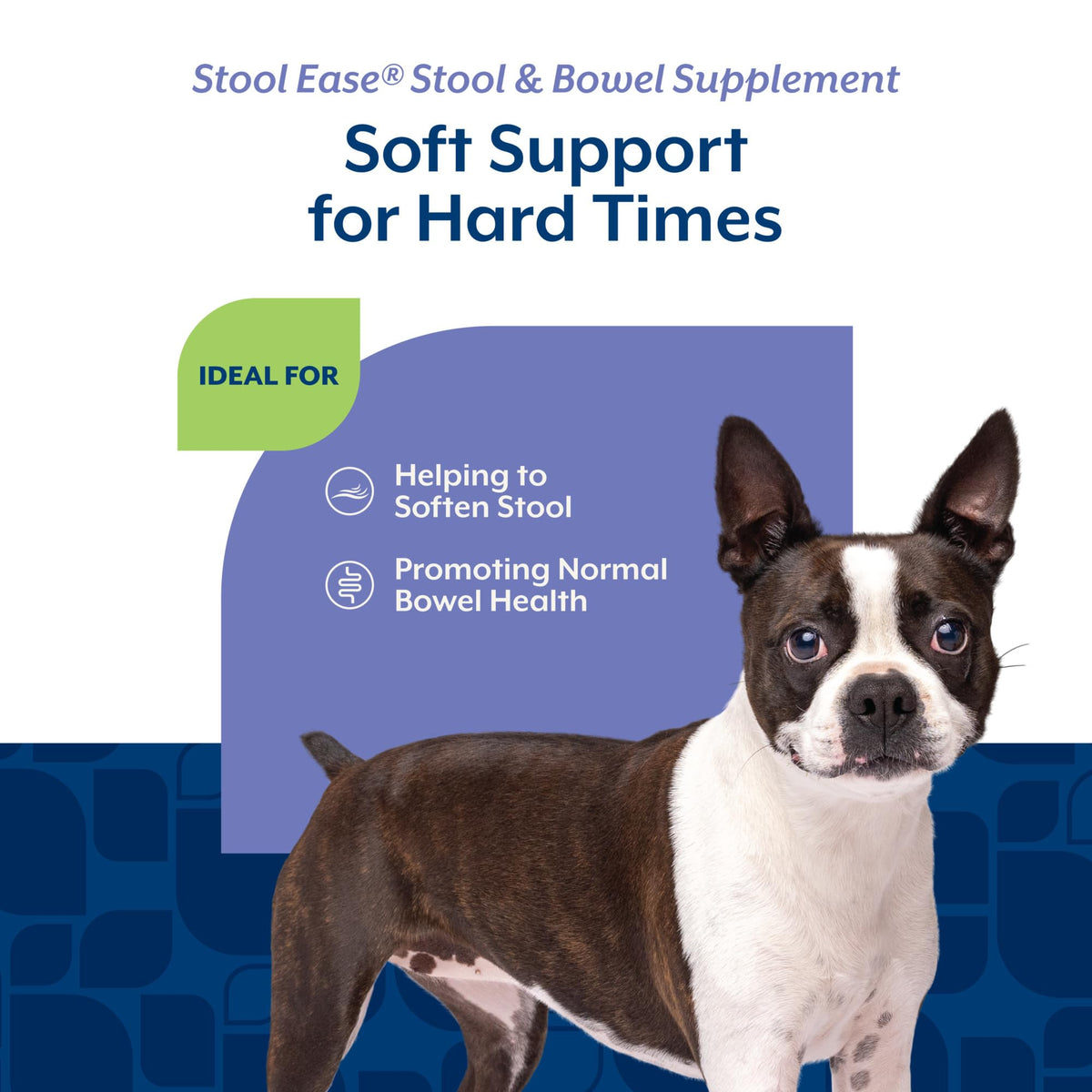 40 Soft Chews Dog Supplement J834281