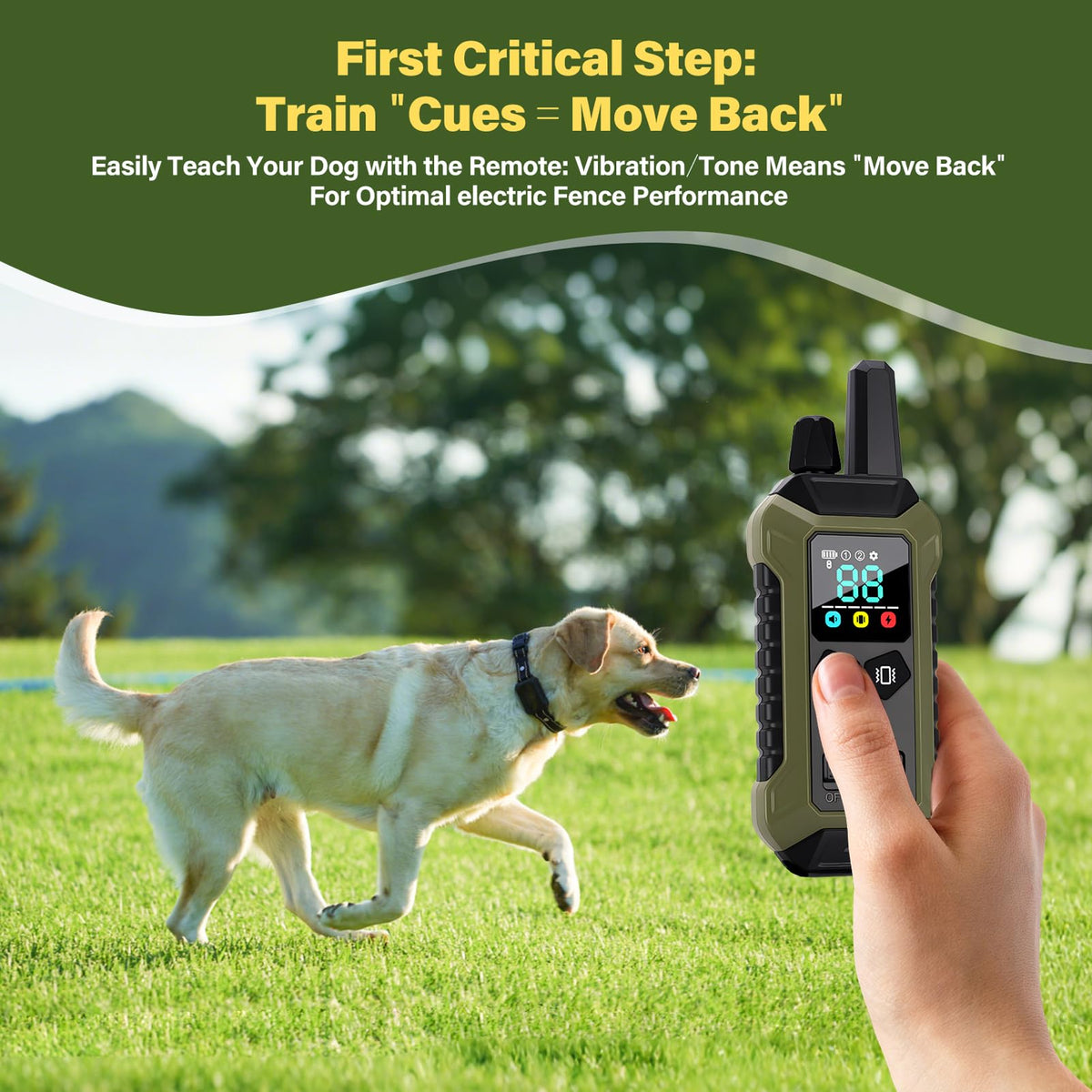 Wireless Dog Collar Fence System with Remote Training P841