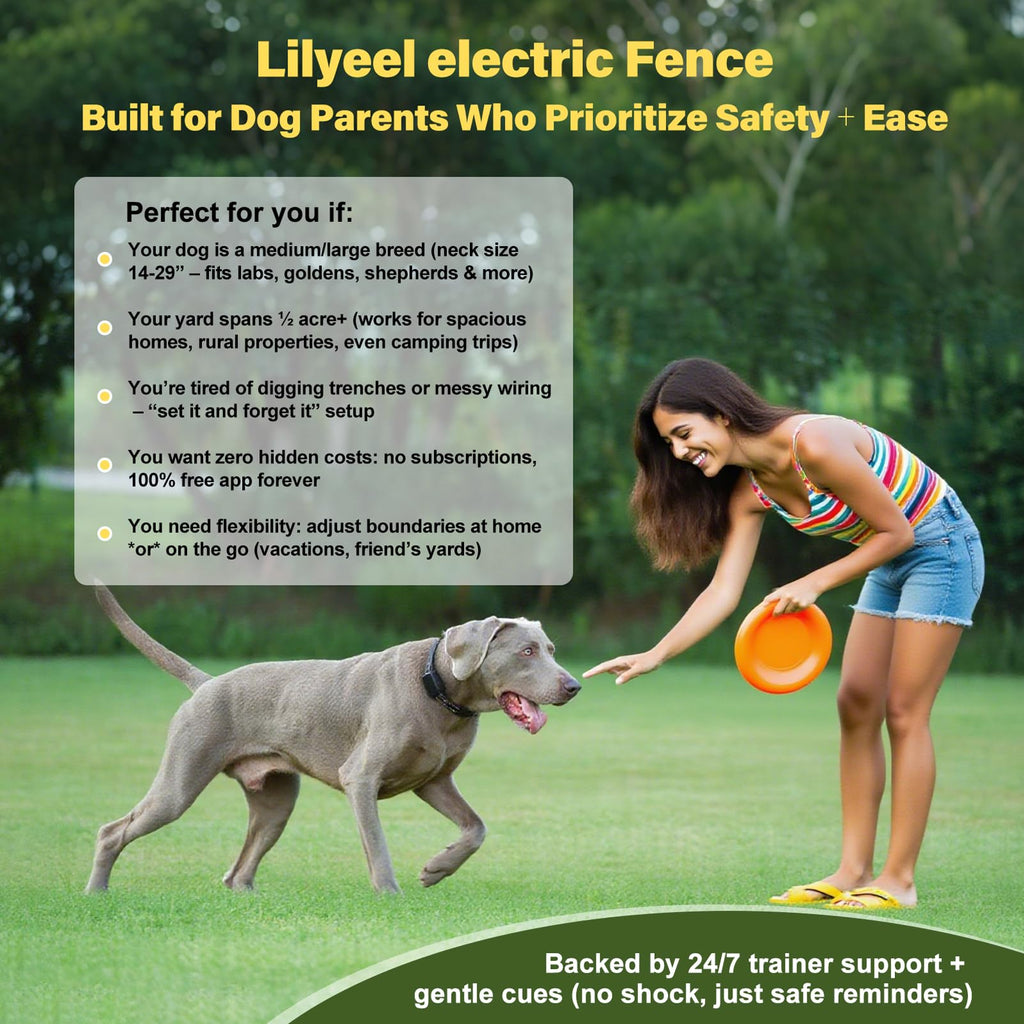 Wireless Dog Collar Fence System with Remote Training P841