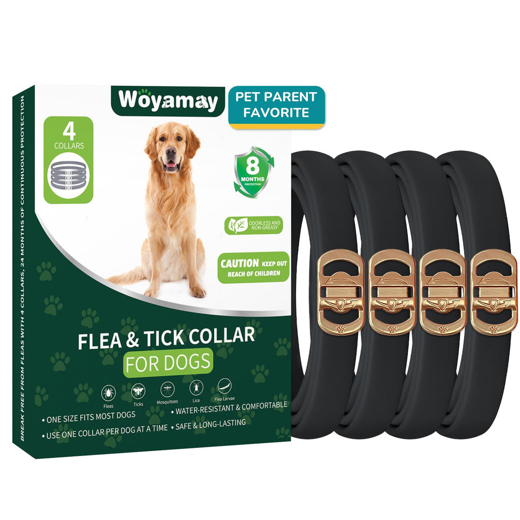 4 Pack Flea Collar for Dogs C828943