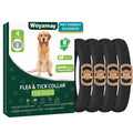 4 Pack Flea Collar for Dogs C828943