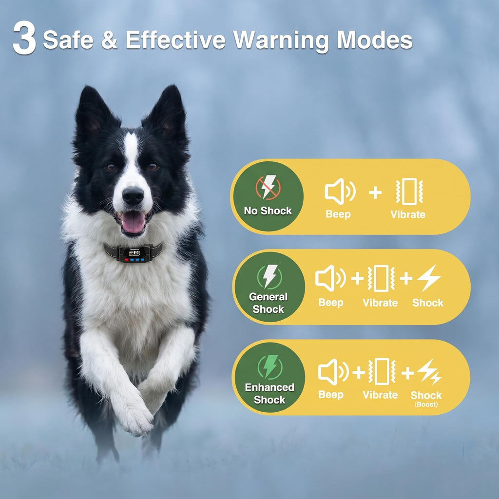GPS Wireless Dog Fence System with 2 Collar X75861