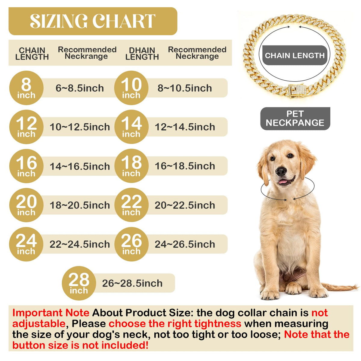 Gold 8 Inch Dog Collar X473