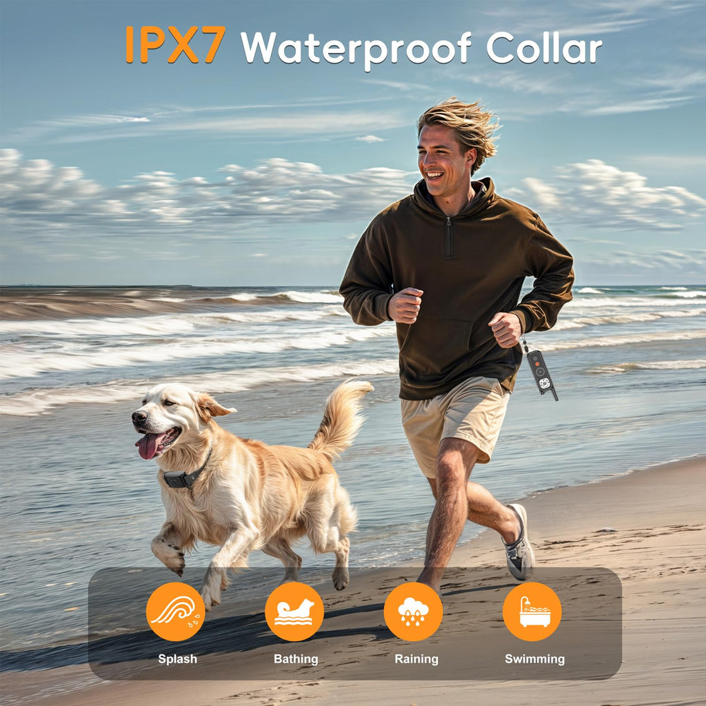 Wireless Dog Fence System with Remote Training Collar L24303
