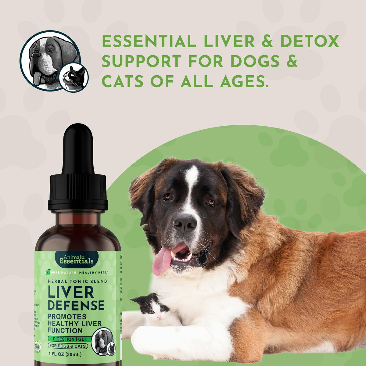 Liquid Liver Support Supplement for Dogs & Cats 2 Fl Oz M3161