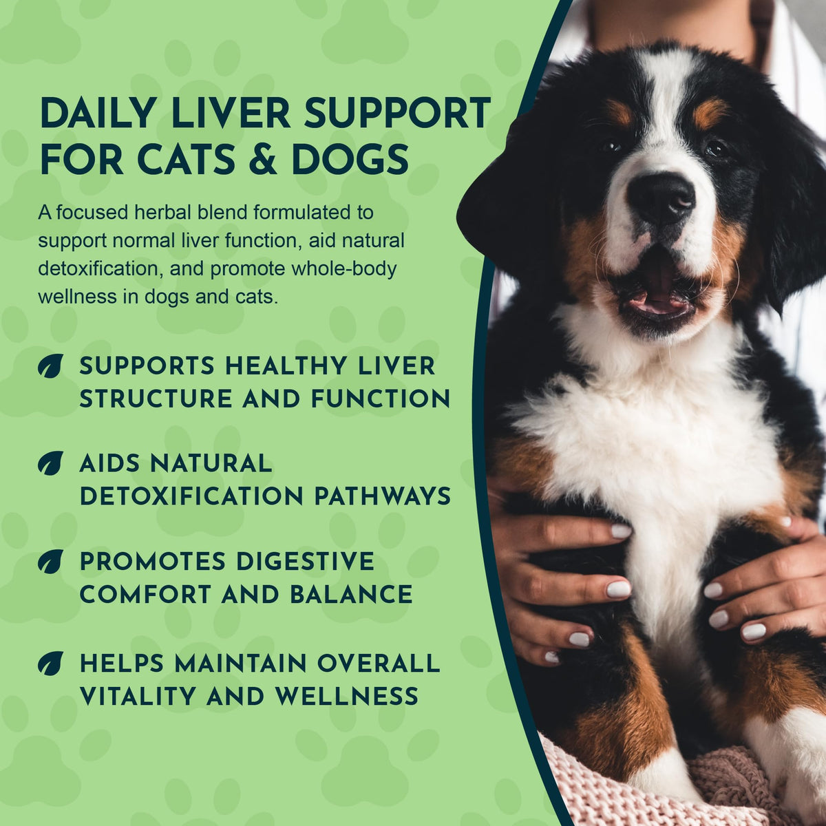 Liquid Liver Support Supplement for Dogs & Cats 2 Fl Oz M3161