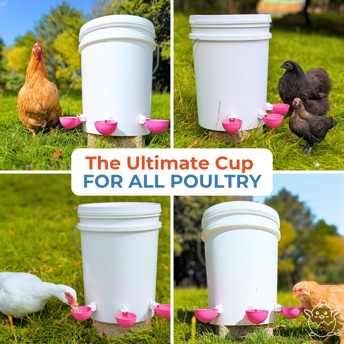 Automatic Chicken Waterer Cups 5 Pack Y79408