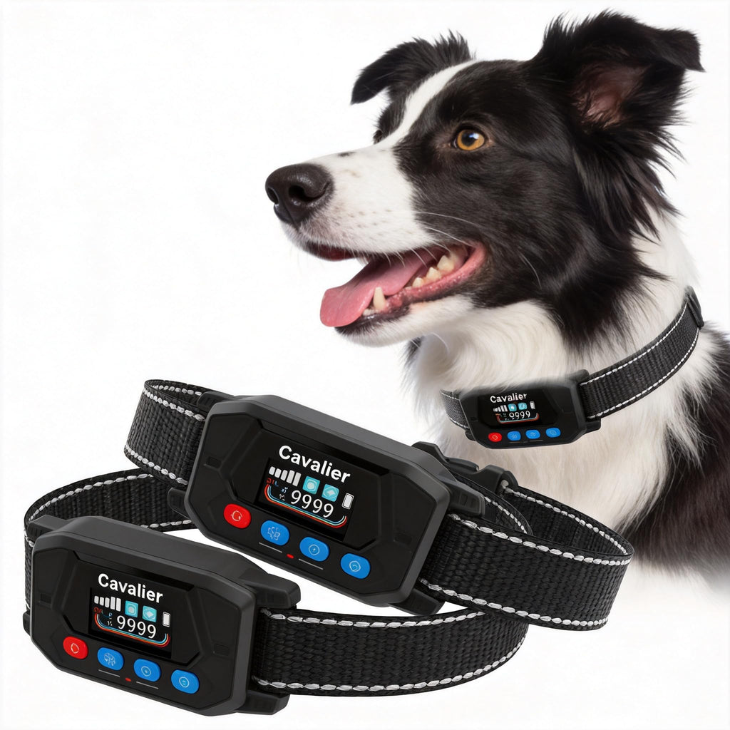 GPS Wireless Dog Fence System with 2 Collar X75861
