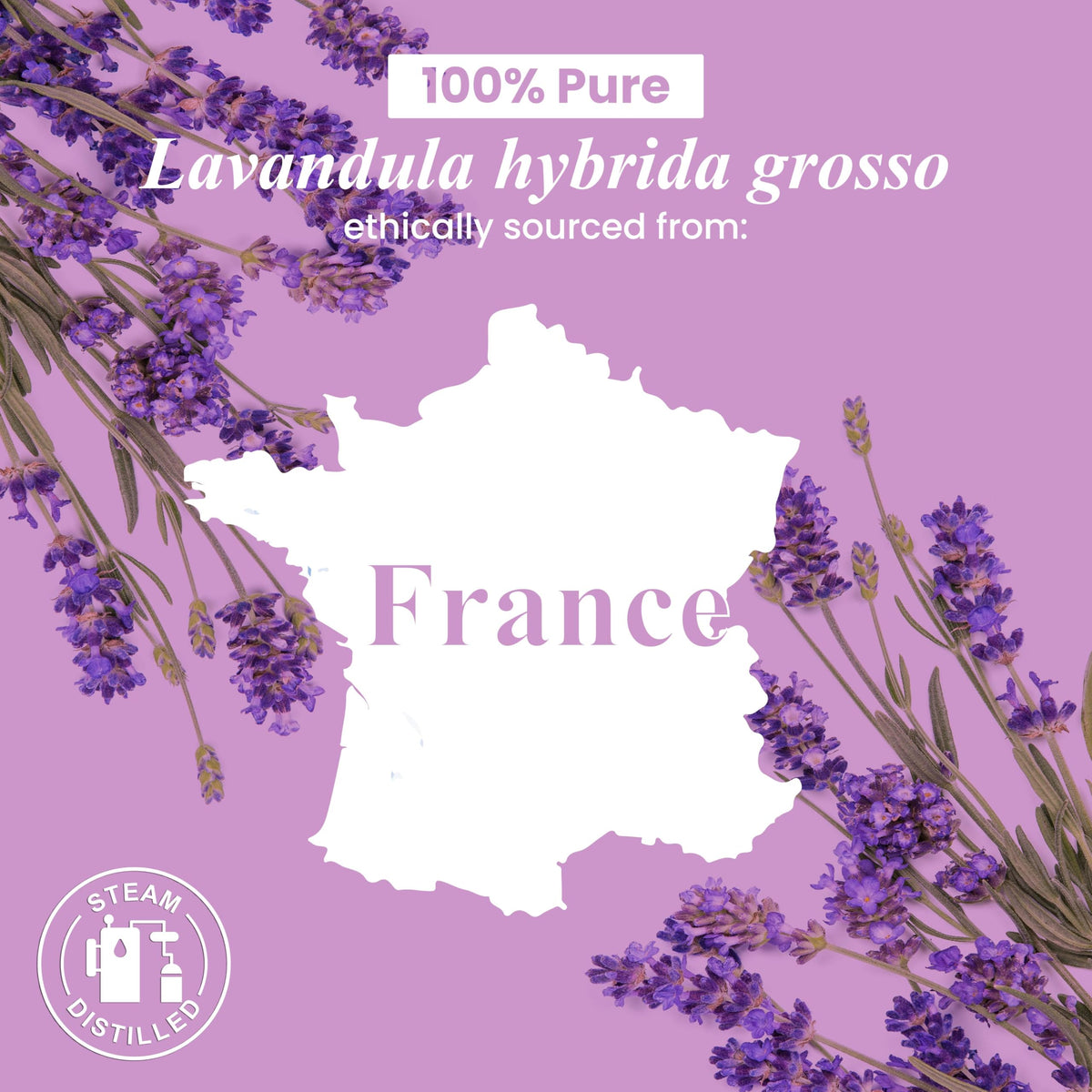 Lavender and Orange Essential Oils 2 x 4 Fl Oz U95275