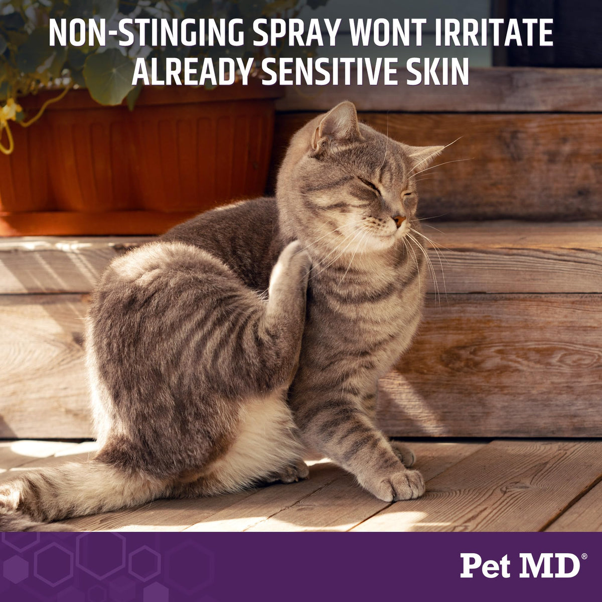 Hypochlorous Acid Spray for Dogs & Pets 4oz U1440