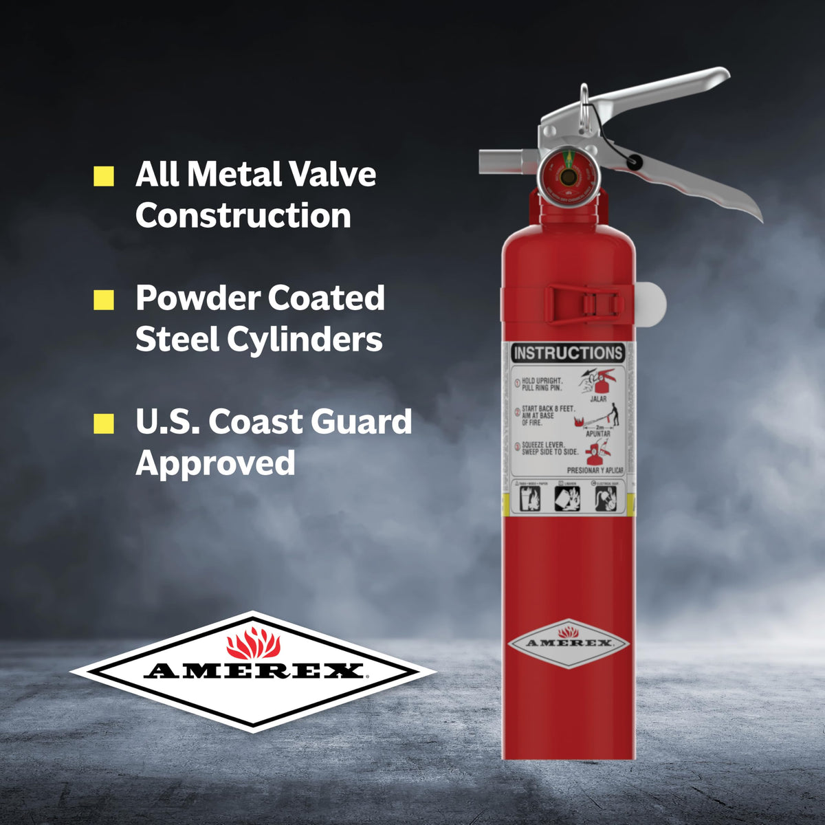 2.5 Pound ABC Dry Chemical Fire Extinguisher with Wall Bracket M6185
