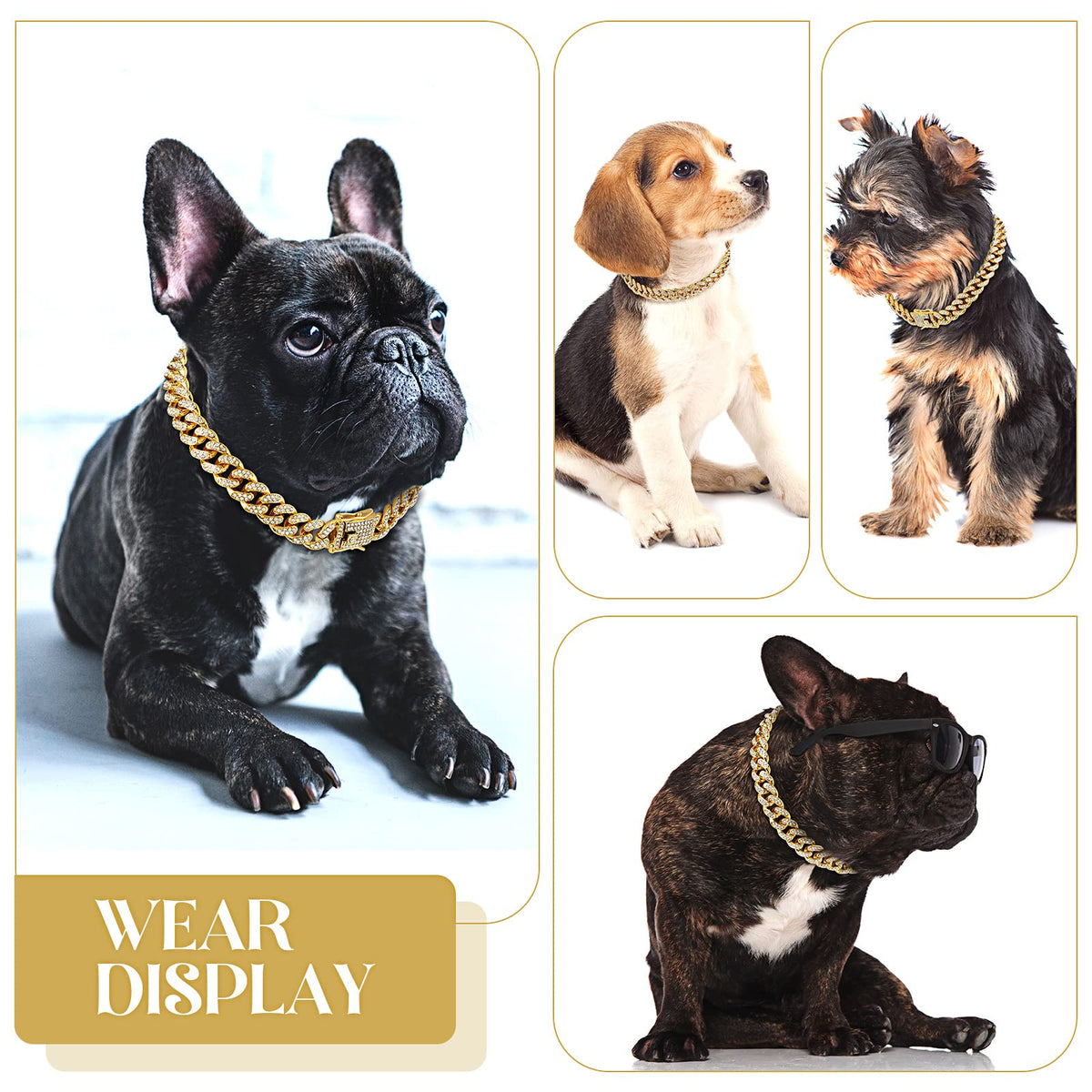 Gold 8 Inch Dog Collar X473