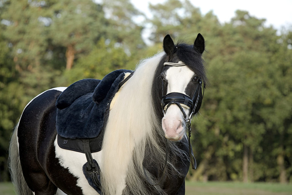 Horse Bareback Pad Treeless Saddle Real Sheepskin P2156