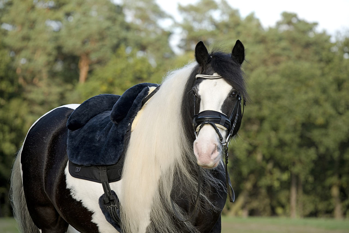 Horse Bareback Pad Treeless Saddle Real Sheepskin P2156