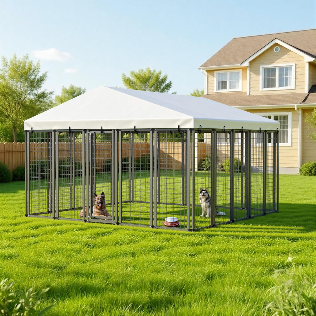 10x10 ft Heavy Duty Outdoor Dog Kennel K2649