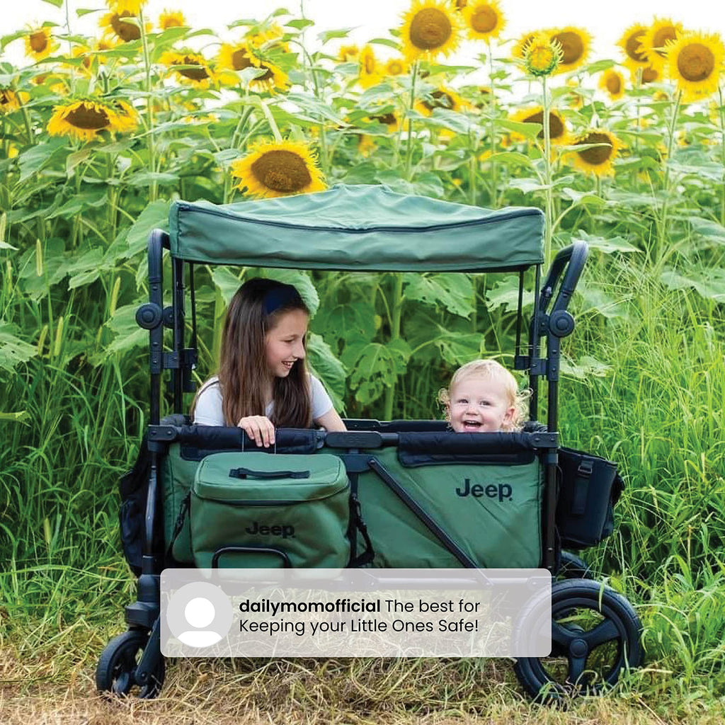 Black/Green Stroller Wagon with Cooler Bag B5427