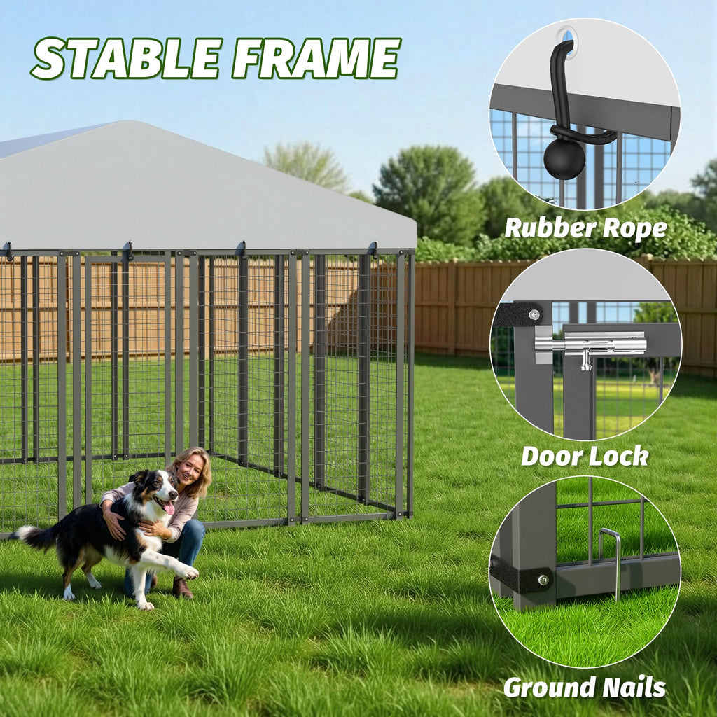 10x10 ft Heavy Duty Outdoor Dog Kennel K2649